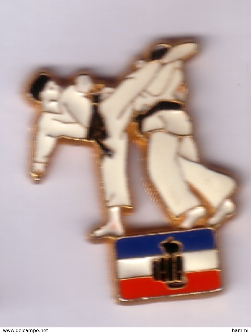 C142 Pin's KARATÉ DRAPEAU POING Achat Immédiat - Judo