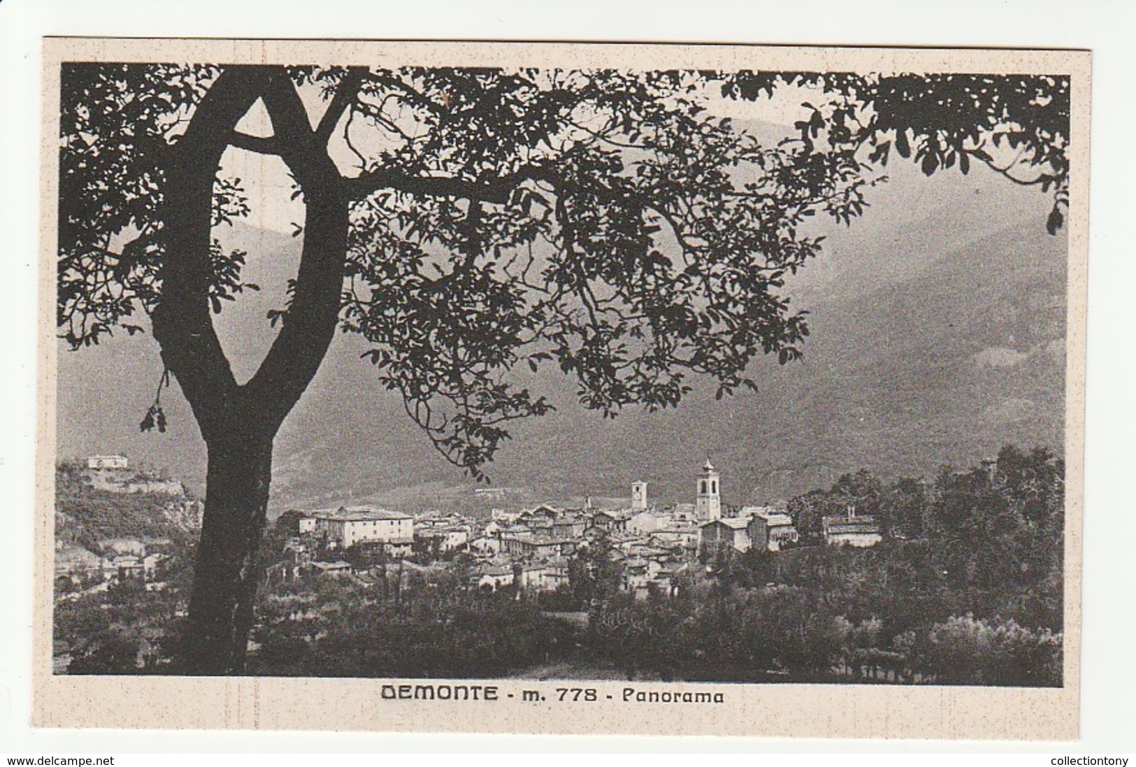 Cuneo - Demonte - (alt.778) -  Panorama - Formato Piccolo - BN  Non Viaggiata - Cuneo