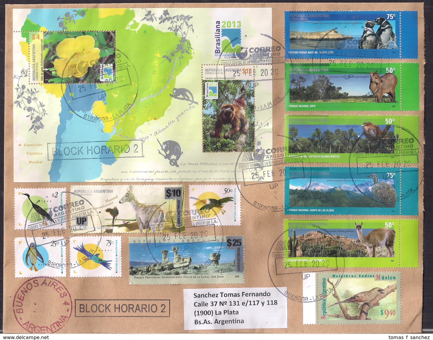 Argentina - 2020 - Lettre - Faune - Oiseaux - Briefe U. Dokumente