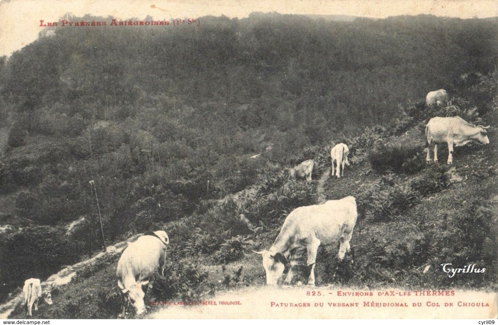 Col Du Chioula - Pâturages Du Versant Méridional (Labouche N°825) - Autres & Non Classés