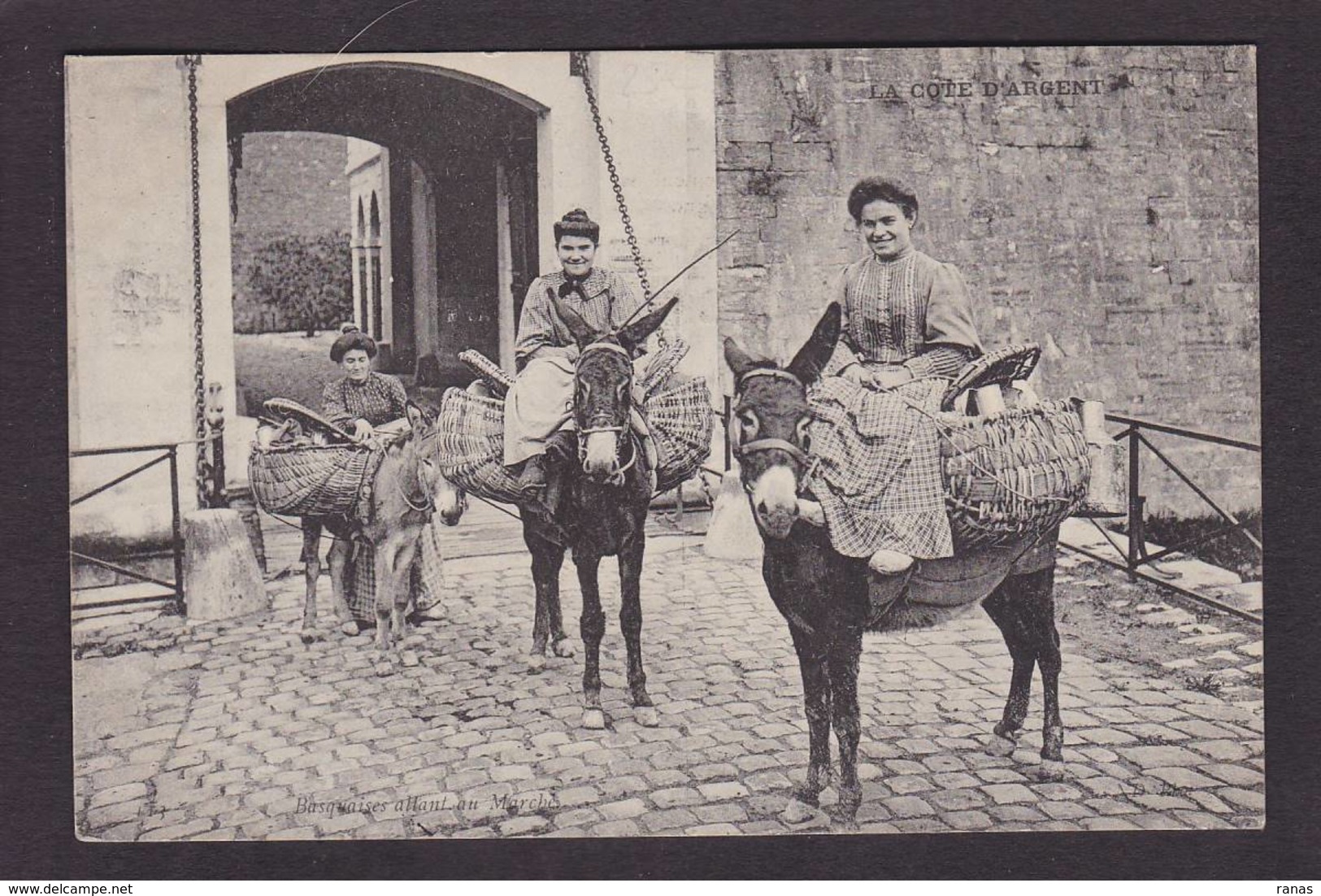 CPA Ane Donkey Circulé Types Basque - Esel