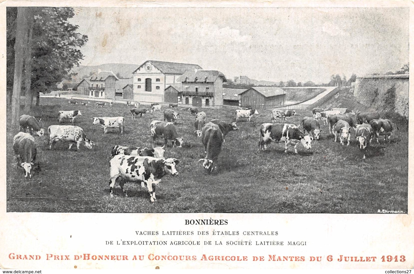 78-BONNIERES-SUR-SEINE-VACHES LAITIERES DES ETABLES CENTRALES DE L'EXPLOITATION AGRICOLE DE LA STE LAITIERE MAGGI - Bonnieres Sur Seine