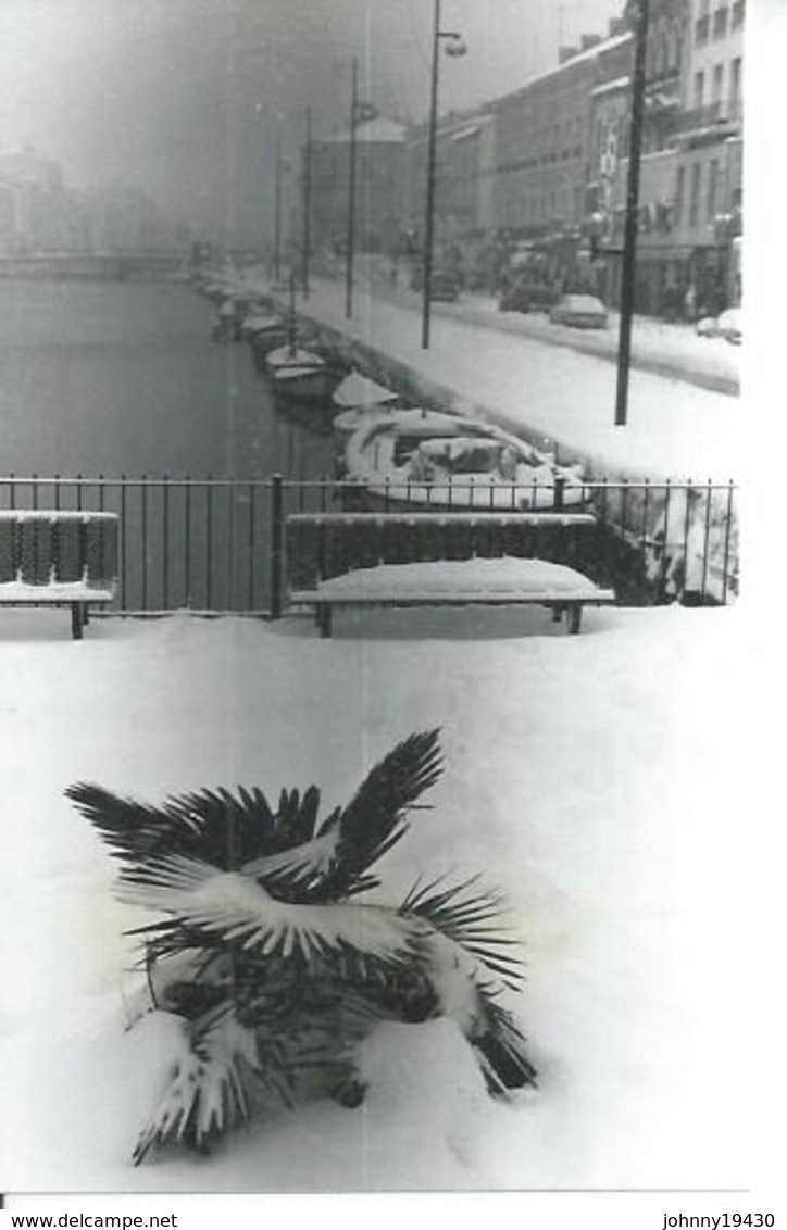 Photo  SETE SOUS LA NEIGE - PONT DE LA SAVONNERIE  ( RAMPE DE LA BOURSE ) CETTE - Sete (Cette)