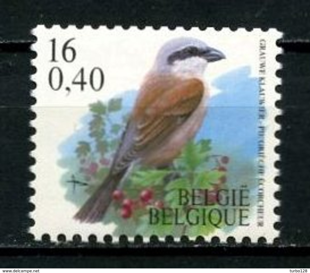 BELGIQUE 2000 N° 2933 ** Neuf MNH Superbe C 3 € Faune Oiseaux Pie Grièche écorcheur Birds Roulette - Ungebraucht