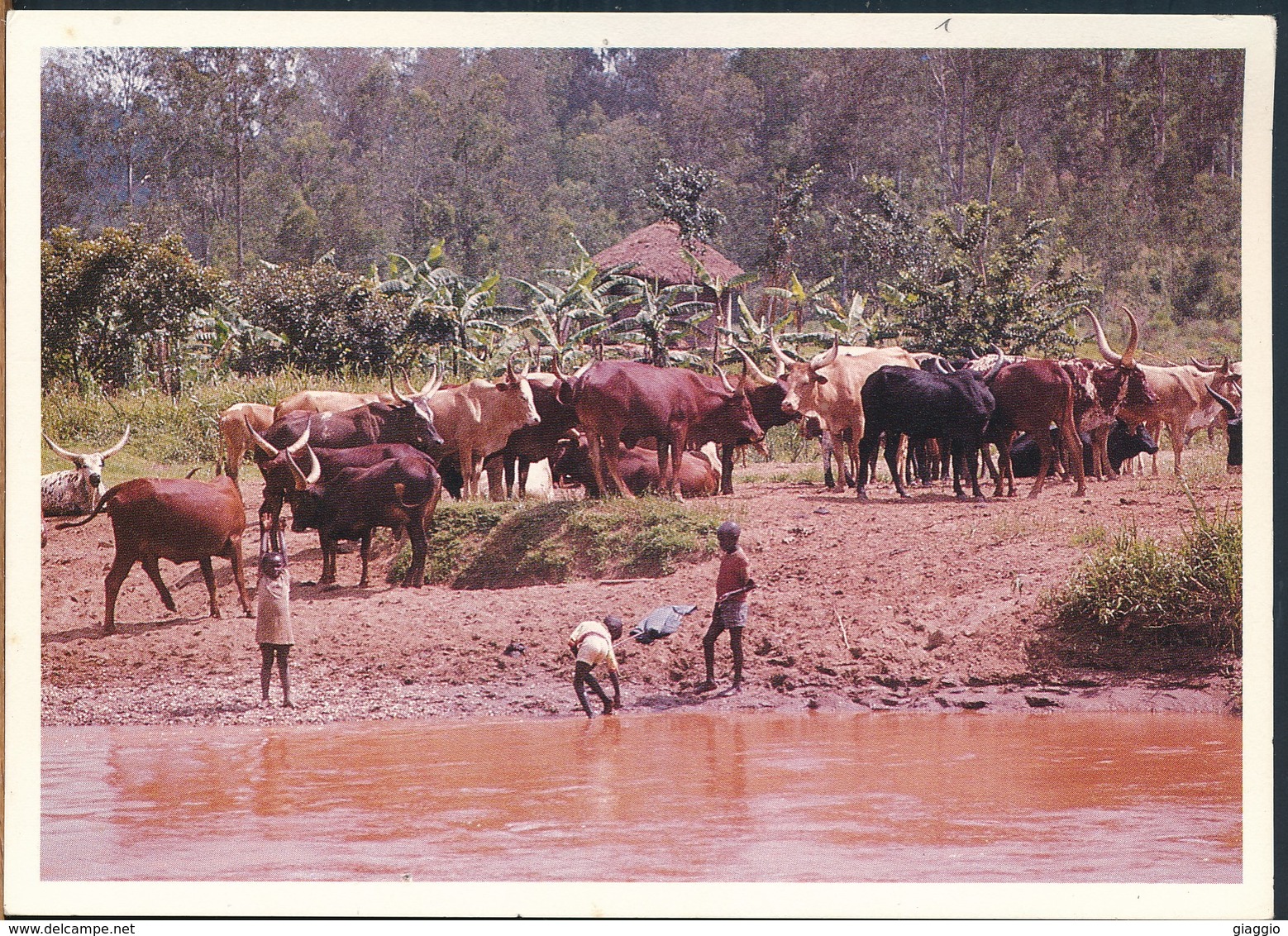 °°° 19025 - RWANDA - DETENTE DES BERGERS AU BORD DE LA NYABARONGO °°° - Ruanda