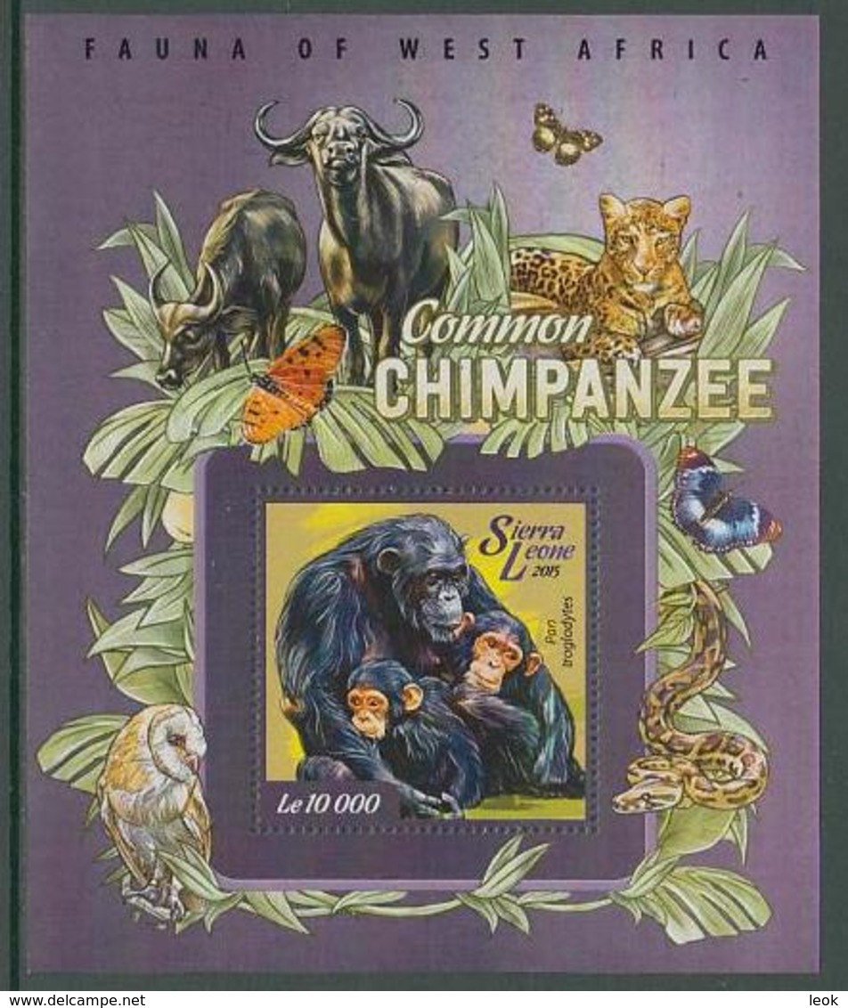 Chimpanzee Chimpanzees Tiger Tigers Buffalo Buffalos Big Cats Animals Sierra Leone MNH S/S Stamp 2015 - Schimpansen