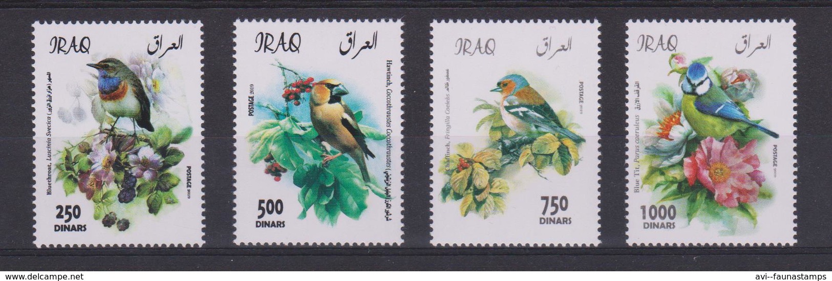 IRAQ, 2019, Birds MNH - Uccelli Canterini Ed Arboricoli