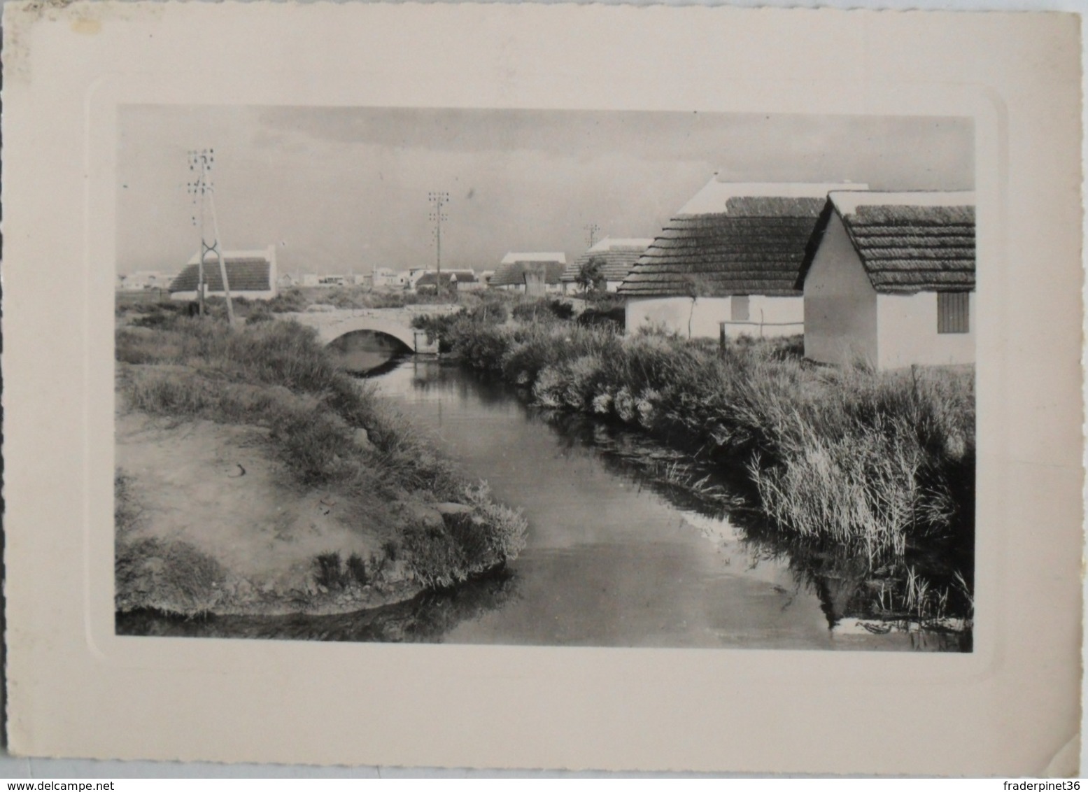 Arrivée Aux Sainte-maries-de-la-mer En Camargue, N° 10150 - Saint-Louis-du-Rhône