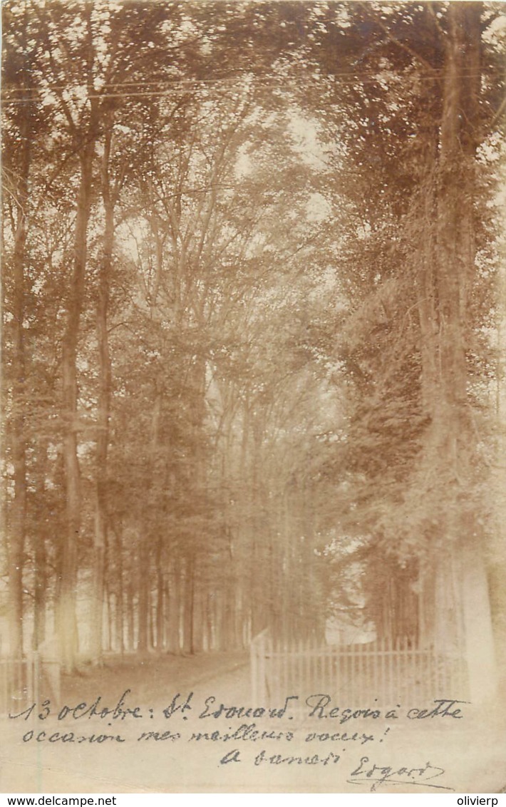 Belgique - Ecaussines - Carte-Photo - Environs Du Moulin De Combreuil - Ecaussinnes