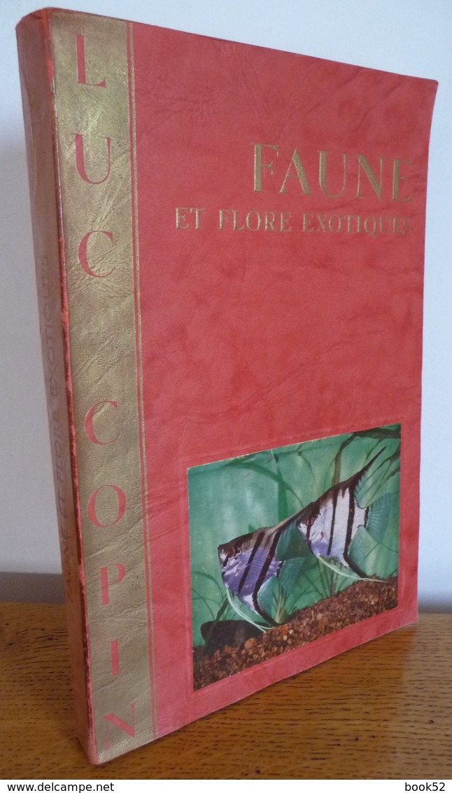 FAUNE Et FLORES EXOTIQUES (1954) - Animali