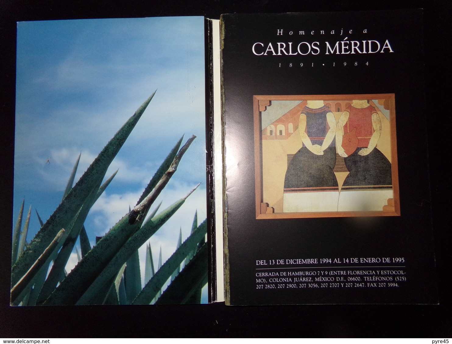 Catalogue " Artes De Mexico, El Tequila " N° 27, 1995 ( Couverture Désolidarisée ) - [4] Thèmes