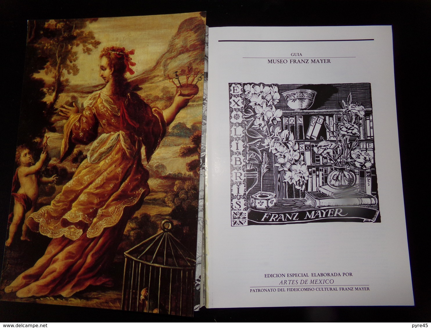 Catalogue " Artes De Mexico, Museo Franz Mayer " édition Spéciale ( Couverture Désolidarisée ) - [4] Themen