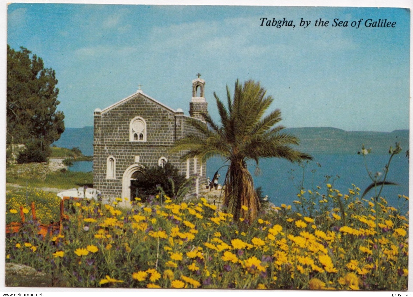 Israel, Tabgha, By The Sea Of Galilee, 1983 Used Postcard [23913] - Israël