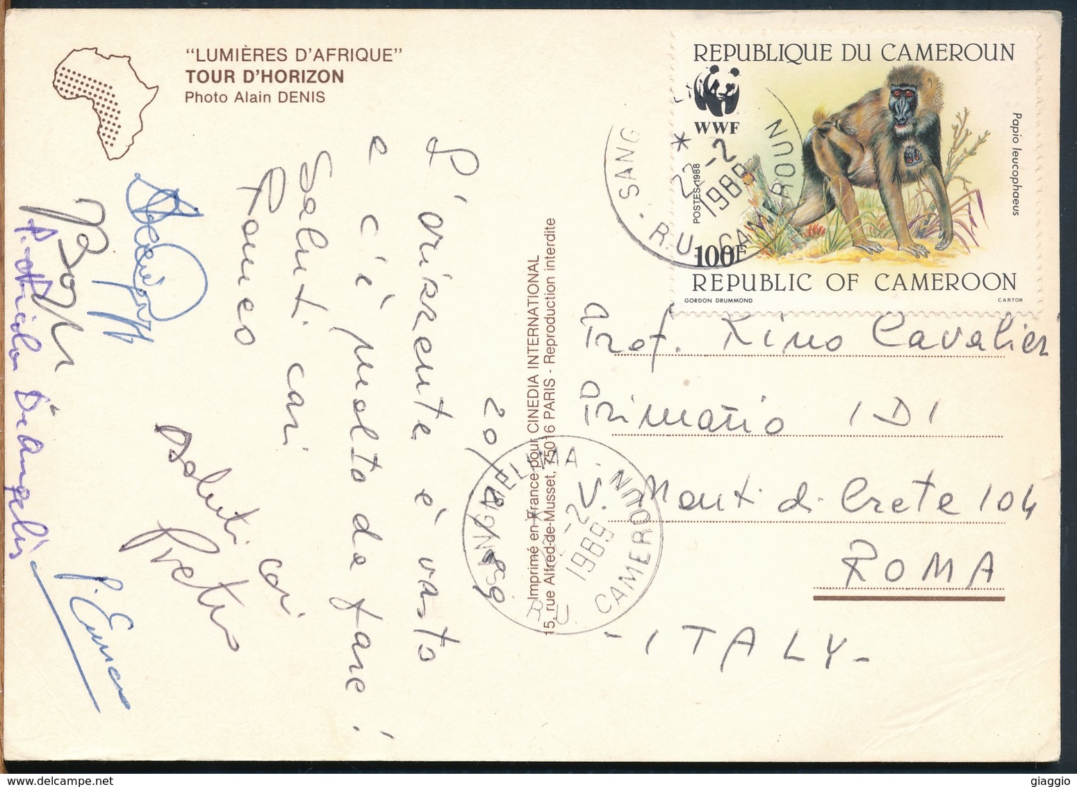 °°° 19036 - CAMERUN CAMEROUN - TOUR D'HORIZON - 1989 With Stamps °°° - Camerun