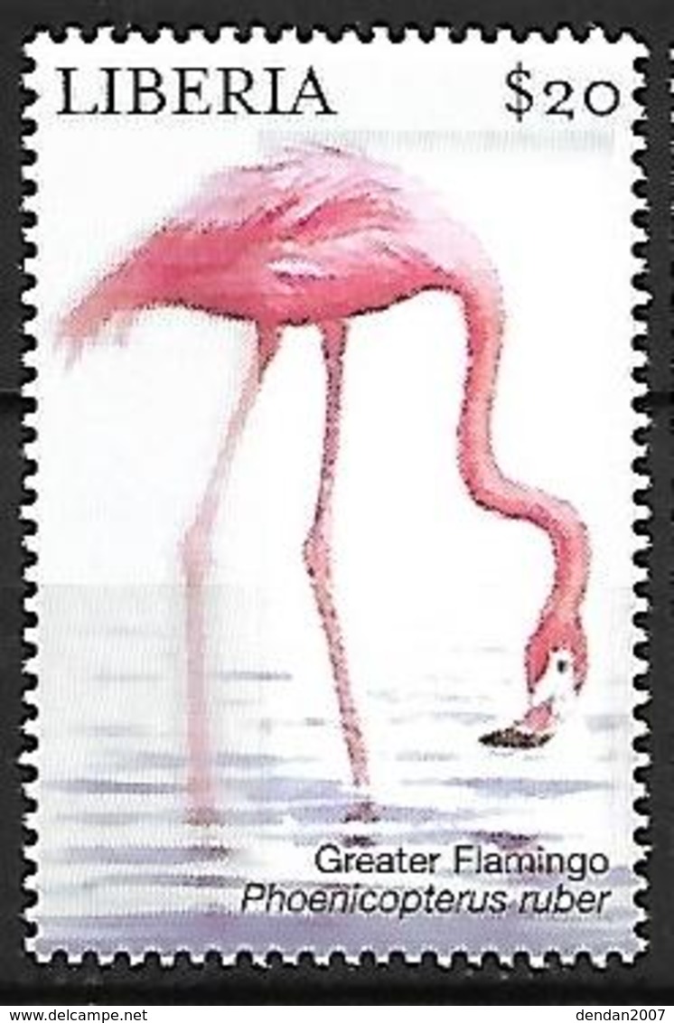 LIBERIA - MNH 2001 :  American Flamingo  -  Phoenicopterus Ruber - Flamingo's