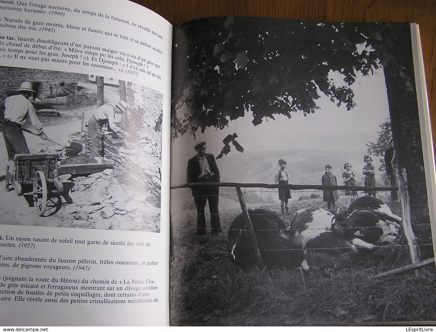 ARDENNE BUISSONNIERE Journal et Photos 1937 1971 Dauchot Edmond Orban JL Régionalisme Photographies Ollomont