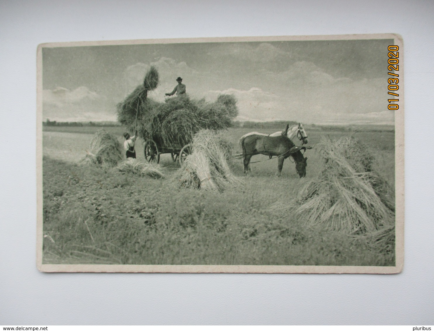 1915 RUSSIA ESTONIA KURKÜLL KÜTTI PARISH MAIL TO PÄRNU ,  HARVESTING HORSE  , OLD POSTCARD   , O - Other & Unclassified