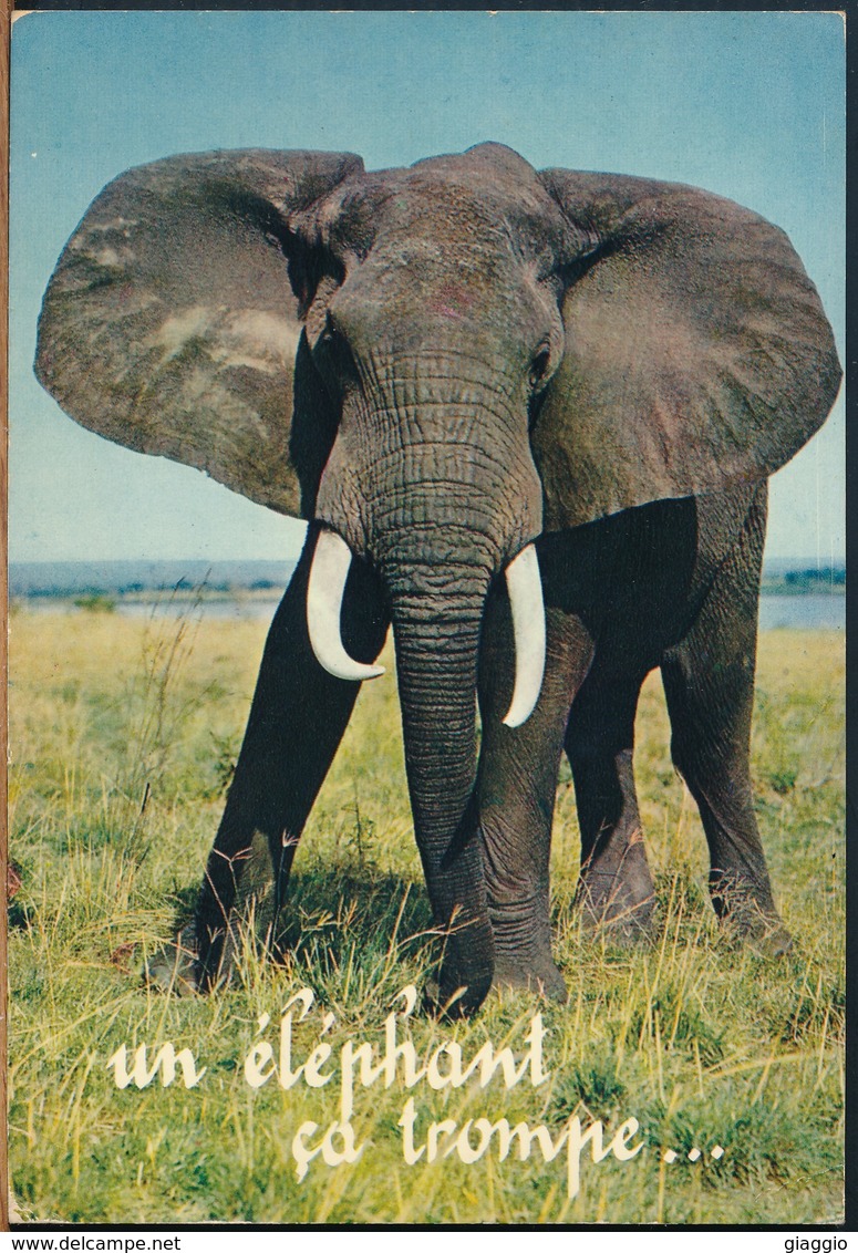 °°° 19056 - SENEGAL - UN ELEPHANT CA TROMPE - 1971 With Stamps °°° - Senegal