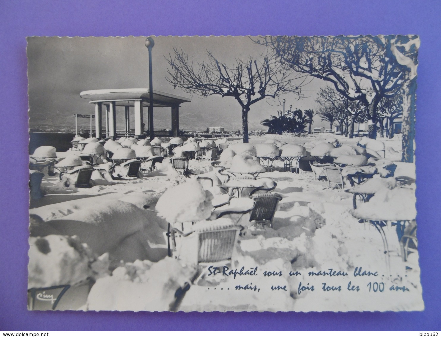 St RAPHAEL  ( VAR ) N° 1523 Les Terrasses Vers La RESERVE   Sous La NEIGE - Saint-Raphaël