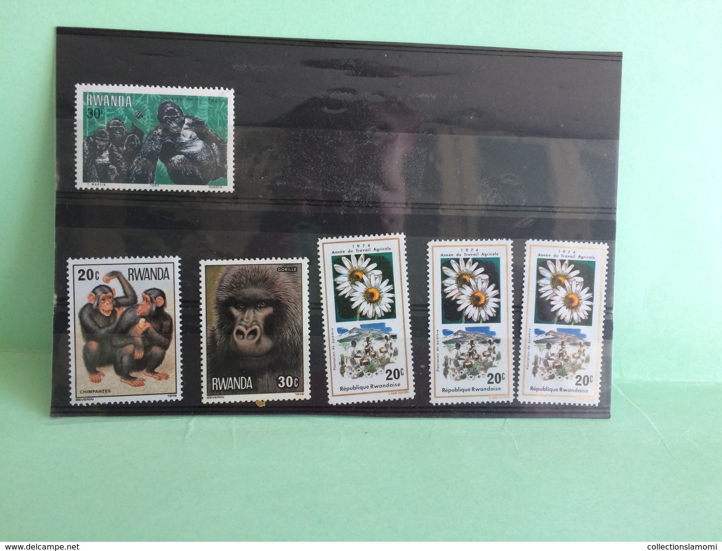 Lot timbres neufs, Afrique Lot Rwandaise voir photos (n°11)