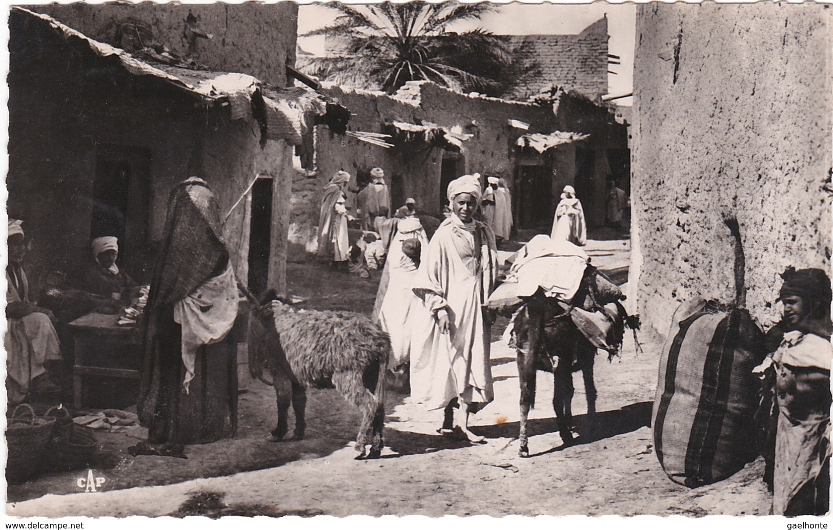 001 SCÈNES ET TYPES DU MAROC - UNE RUE DU VILLAGE ARABE - MULES CHARGÉES ET AUTOCHTONES - Other & Unclassified