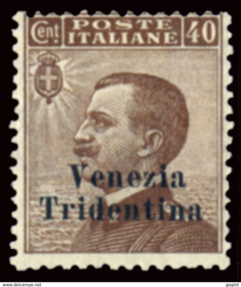 ITALIA TRENTINO-ALTO ADIGE 1918 40 CENT. (Sass. 24) NUOVO LINGUELLATO OFFERTA - Trentino