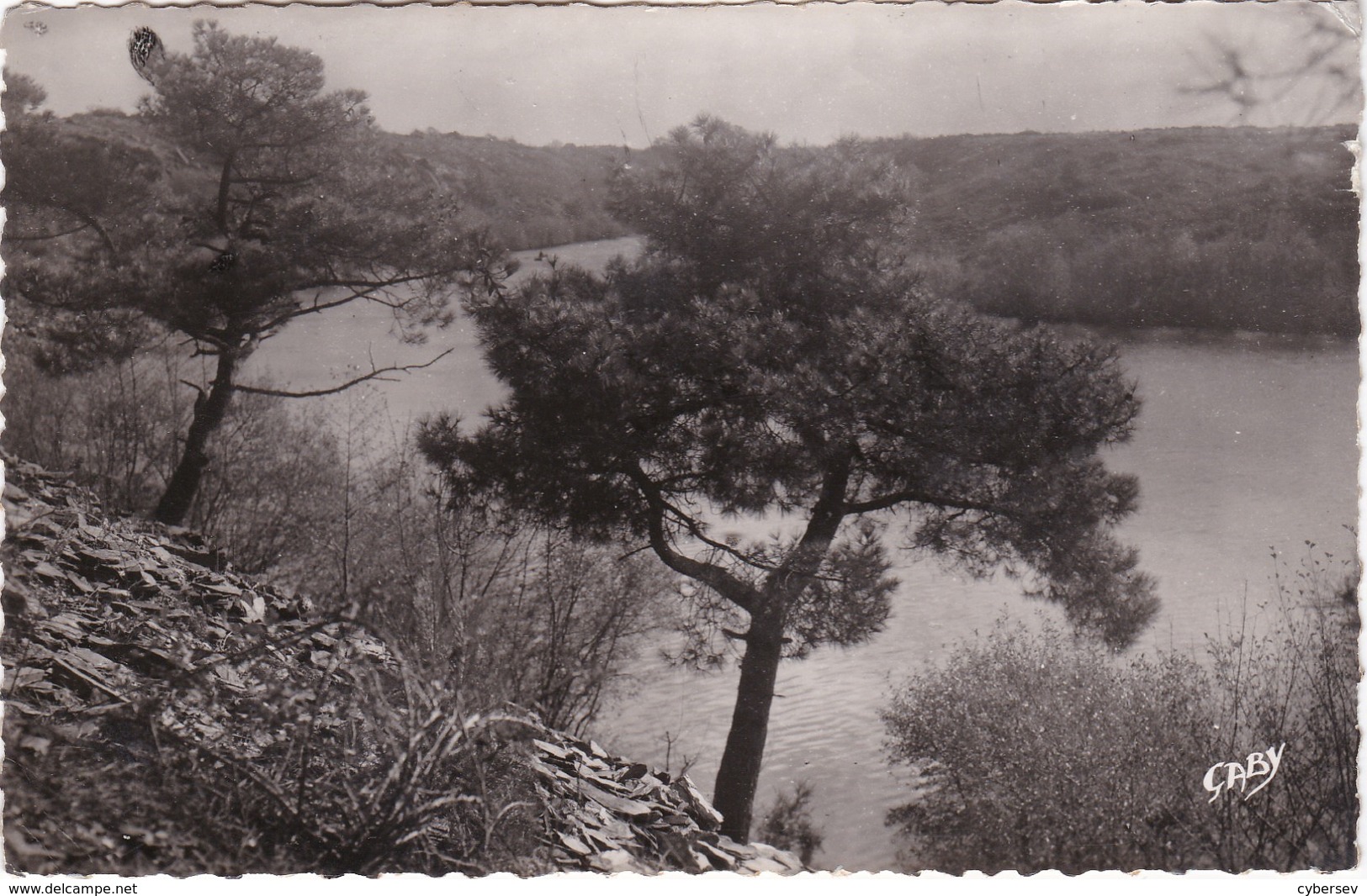 MOISDON-la-RIVIERE - Un Coin Pittoresque De L'Etang De La Forge - CPSM PF - Moisdon La Riviere