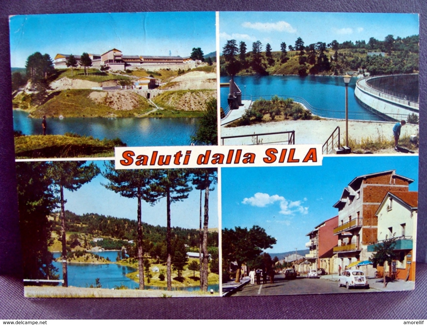 (FG.L05) SALUTI DALLA SILA - VEDUTE VEDUTINE (viaggiata 1969) - Altri & Non Classificati