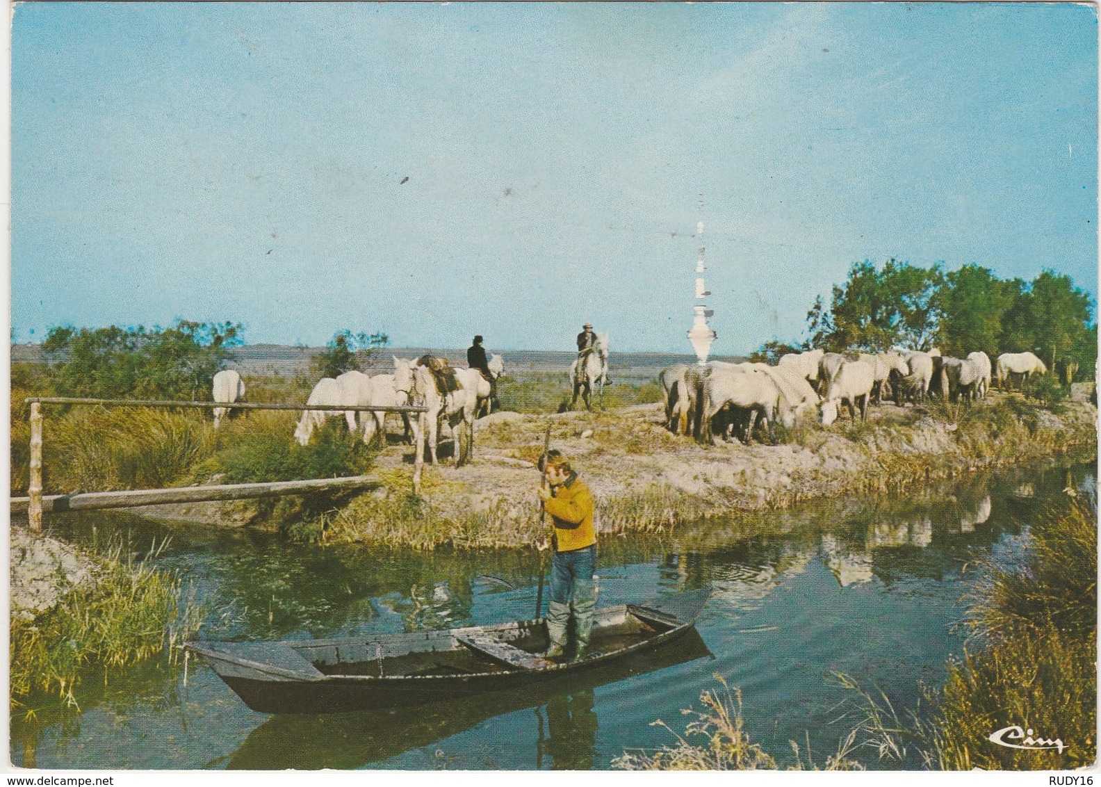 EN CAMARGUE -   MANADE DE CHEVAUX    -  Editeur ,COMBIER De Macon  N° / - Provence-Alpes-Côte D'Azur