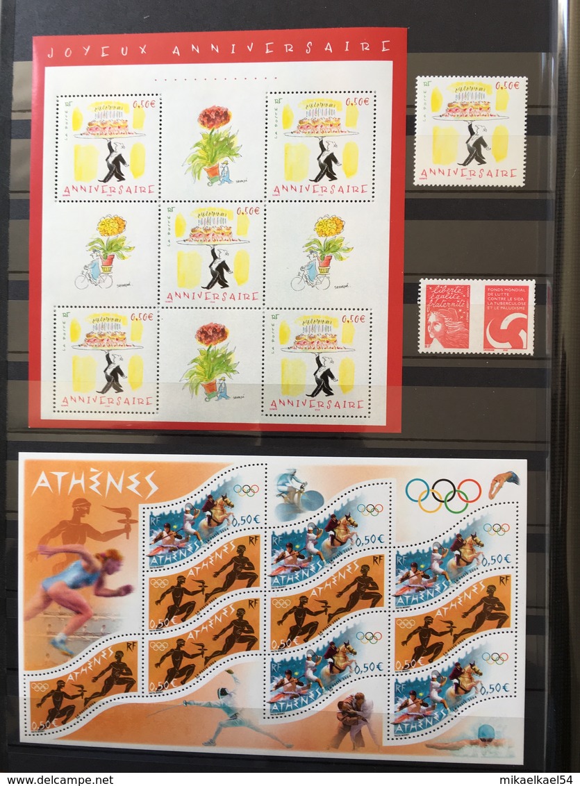 2004 ANNEE COMPLETE LUXE ** - timbres émis en feuille, adhésifs, Poste Aérienne, préoblitéré, bloc et carnet - NEUF