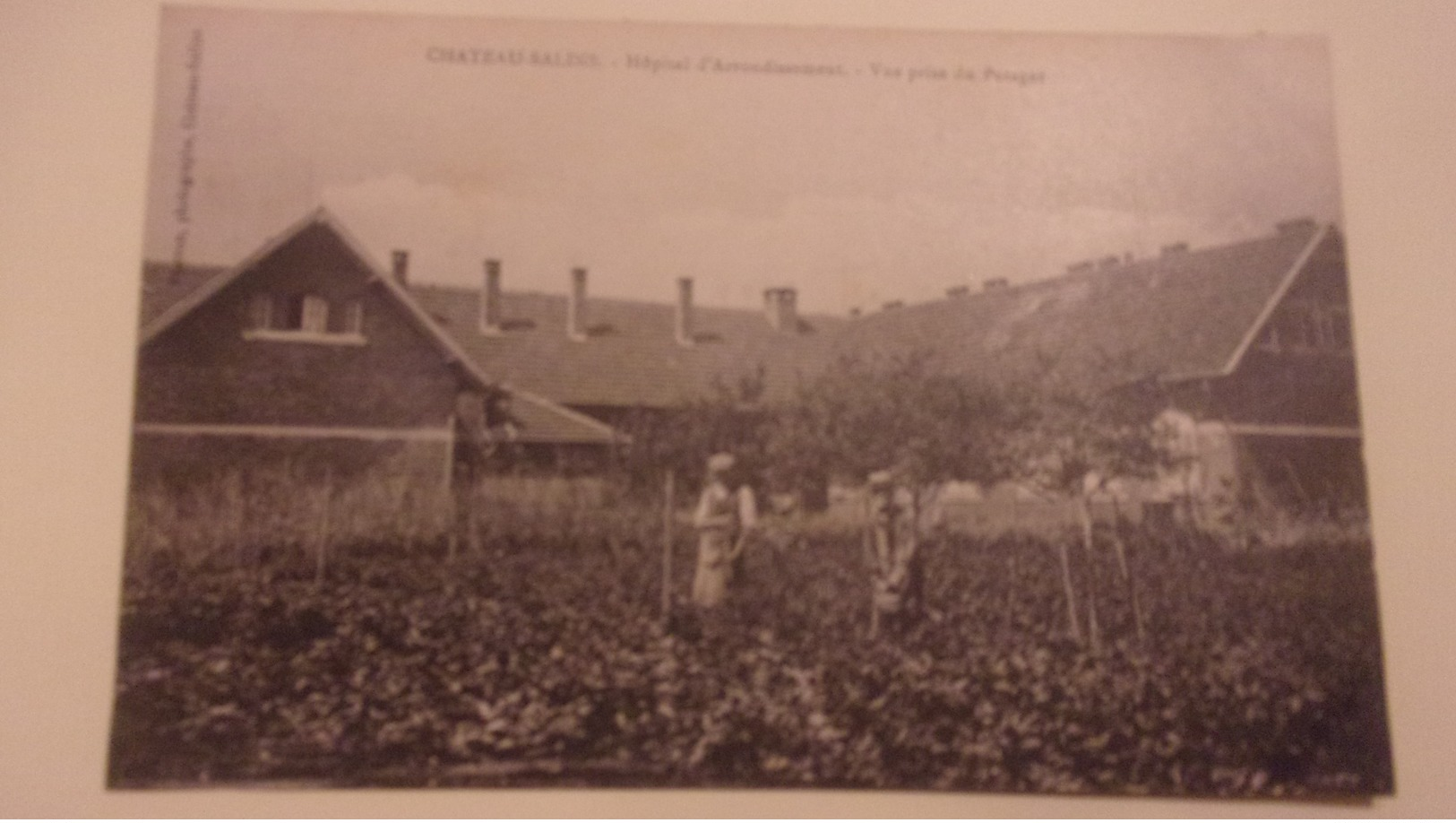 57 CHATEAU SALINS HOPITAL D ARRONDISSEMENT VUE PRISE DU POTAGER JARDINIERS - Chateau Salins