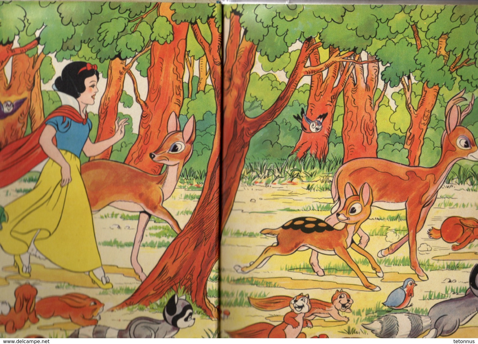 WALT DISNEY BLANCHE NEIGE ET LES SEPT NAINS - Disney