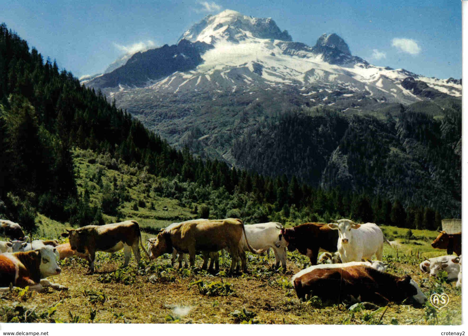 74 Environs De Chamonix N°2300 ARGENTIERES Troupeau De Vaches Au Pied De L'Aiguille Verte Et Du Dru VOIR DOS - Chamonix-Mont-Blanc