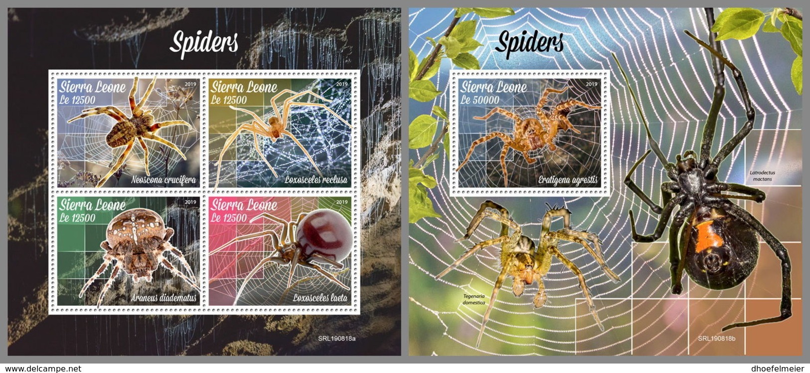 SIERRA LEONE 2019 MNH Spiders Spinnen Araignees M/S+S/S - OFFICIAL ISSUE - DH1942 - Spinnen