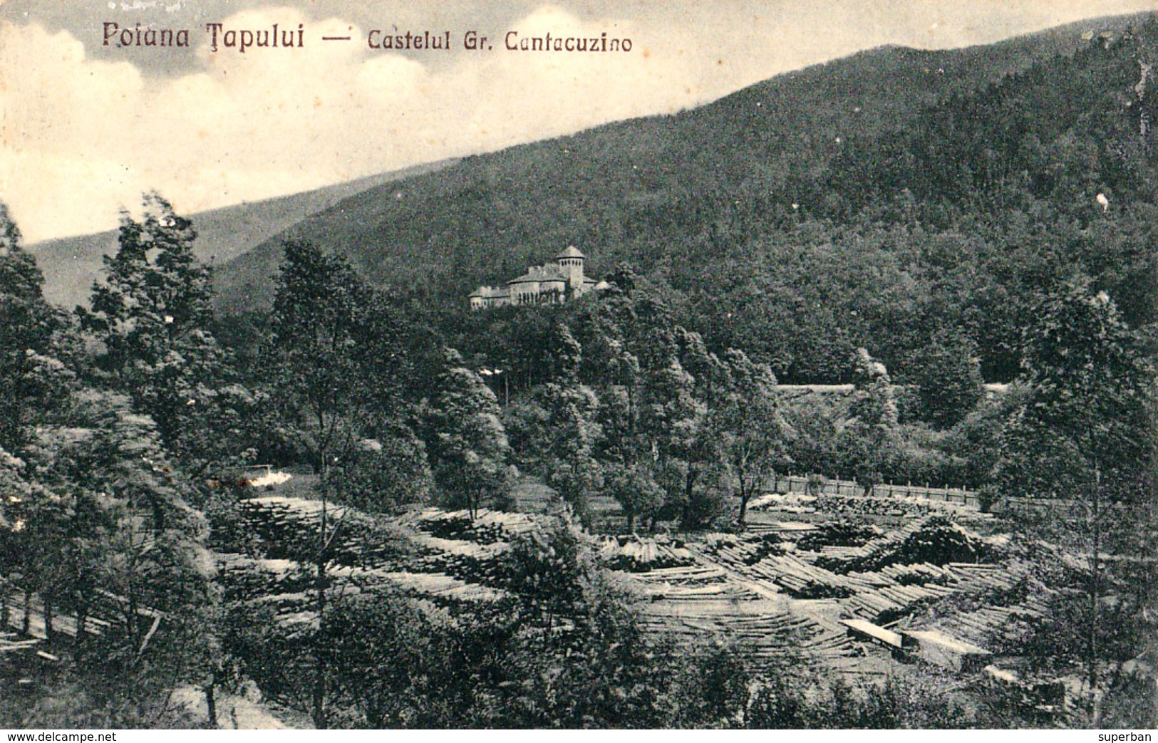 POIANA TAPULUI / PRAHOVA : CASTELUL GR. CANTACUZINO & TRAVAIL DU BOIS / TIMBER WORKING - ANNÉE / YEAR : 1925 (ae116) - Roemenië