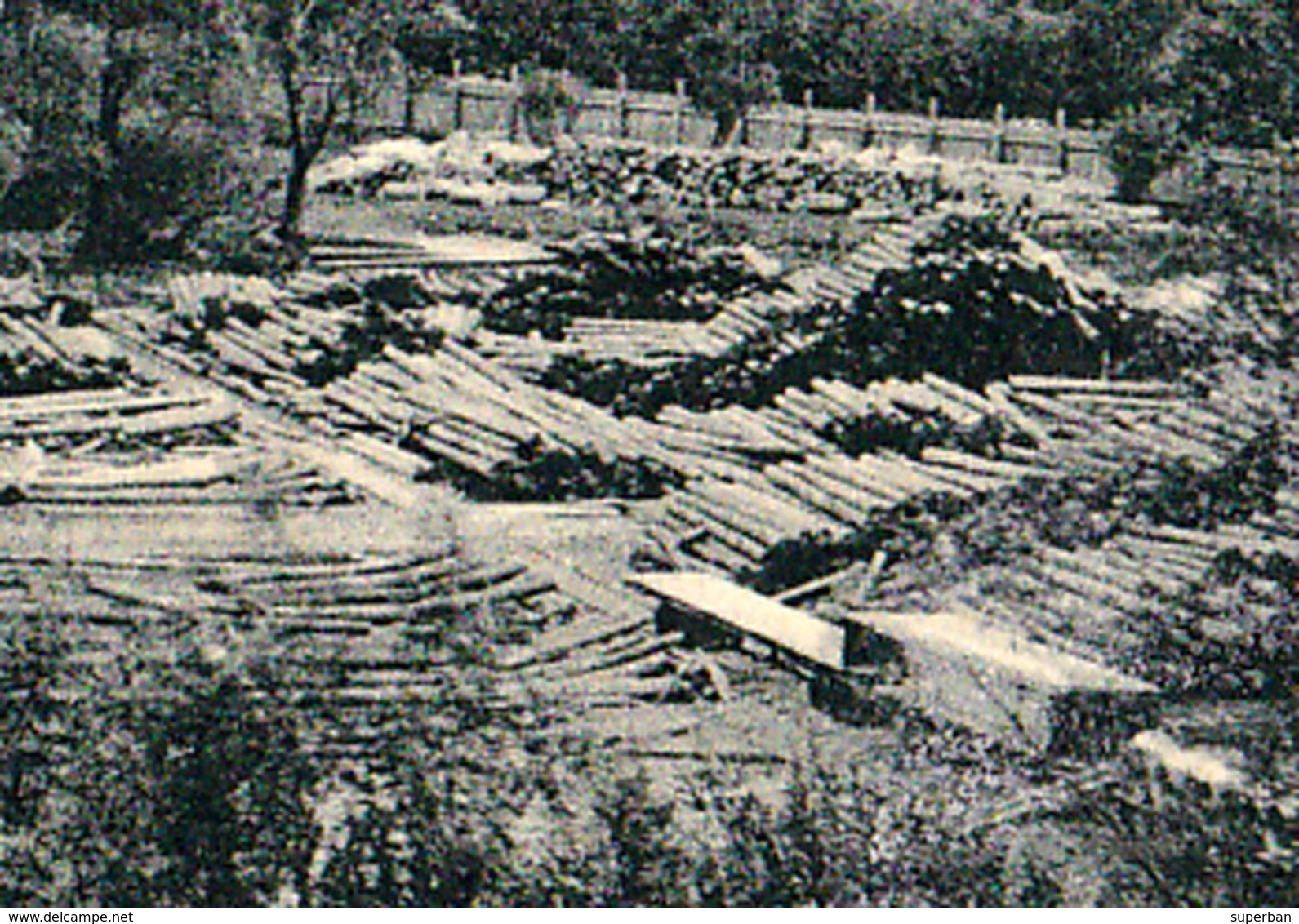 POIANA TAPULUI / PRAHOVA : CASTELUL GR. CANTACUZINO & TRAVAIL DU BOIS / TIMBER WORKING - ANNÉE / YEAR : 1925 (ae116) - Roemenië