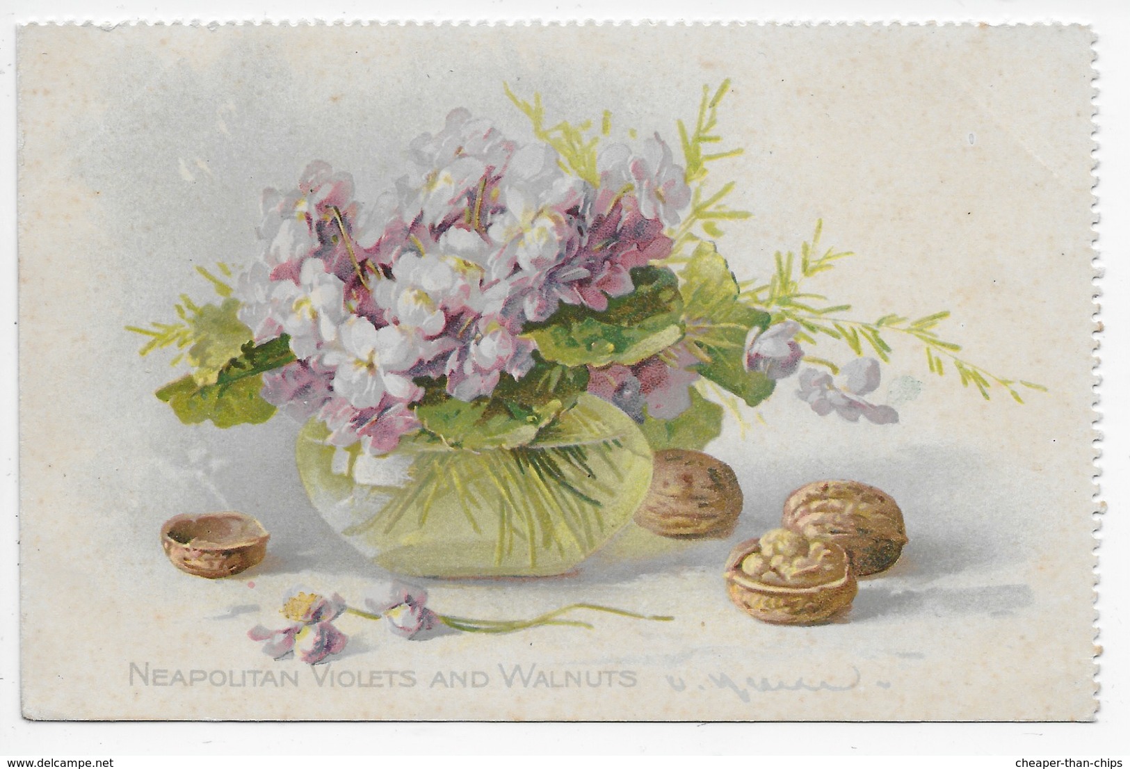 Catharina Klein - Neapolitan Violets And Walnuts - Tuck 4065 - Klein, Catharina