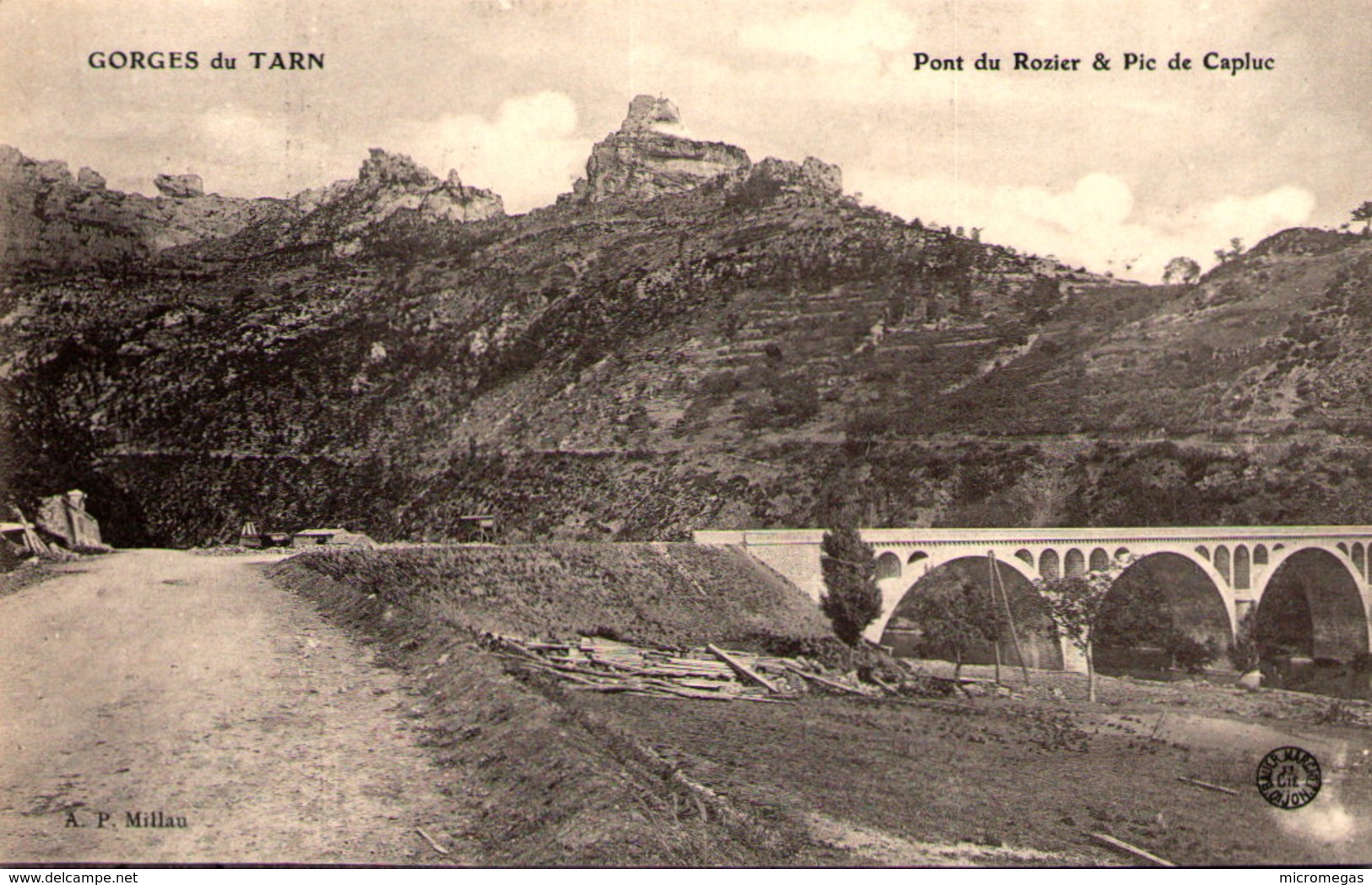 48 - Gorges Du Tarn - Pont Du Rozier Pic De Capluc - Gorges Du Tarn