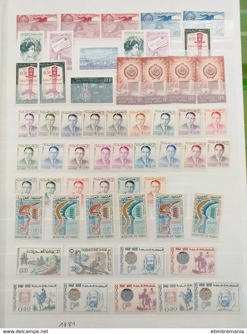 LOT N° E 186 ALGERIE MAROC Et Tunisie  Collection En 2 Classeur Neufs ** Ou Obl - Collezioni (in Album)