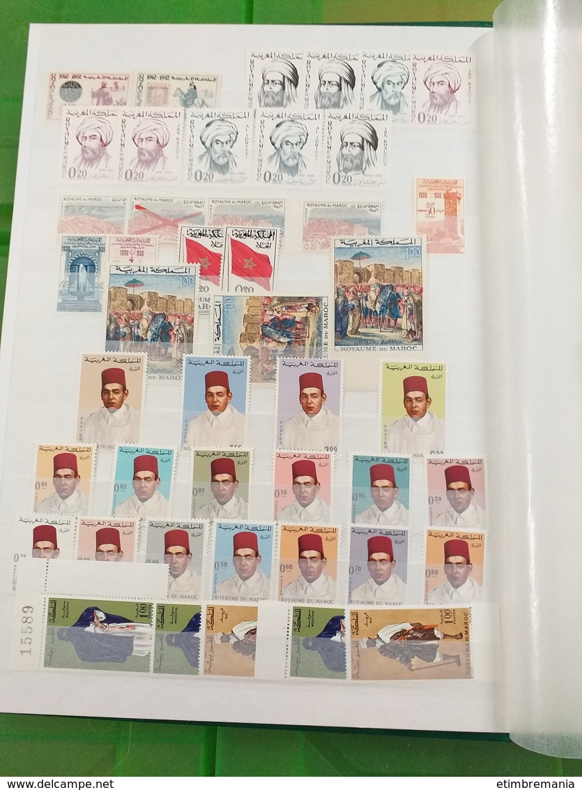 LOT N° e 186 ALGERIE MAROC et tunisie  collection en 2 classeur neufs ** ou obl