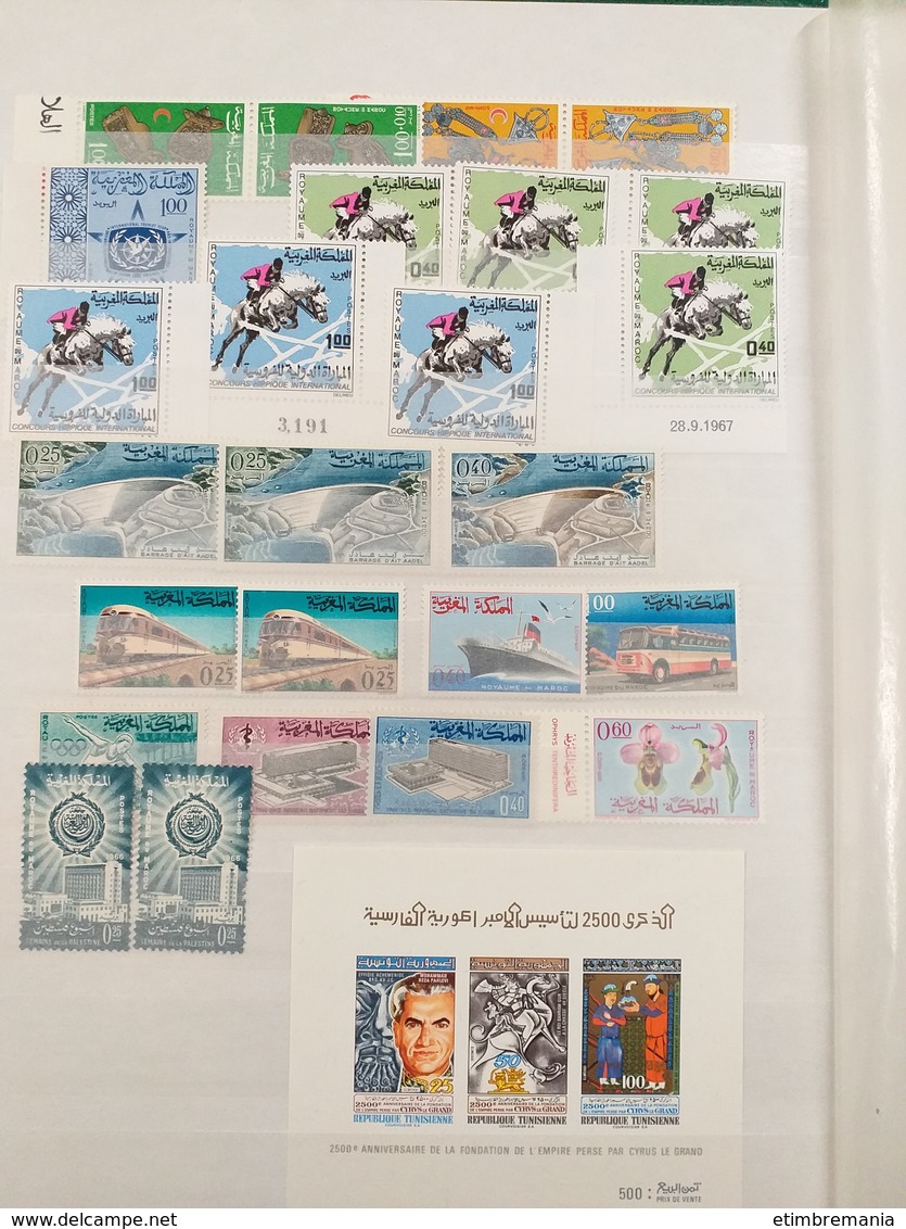 LOT N° e 186 ALGERIE MAROC et tunisie  collection en 2 classeur neufs ** ou obl