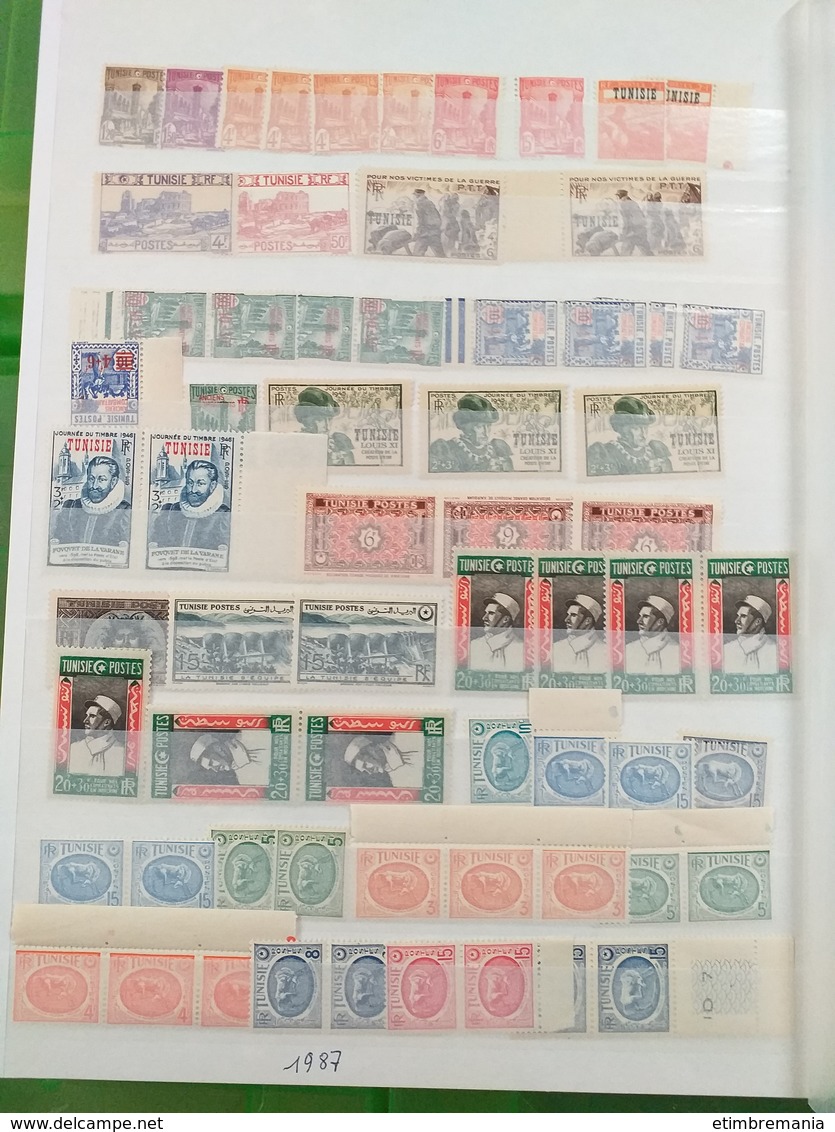 LOT N° e 186 ALGERIE MAROC et tunisie  collection en 2 classeur neufs ** ou obl