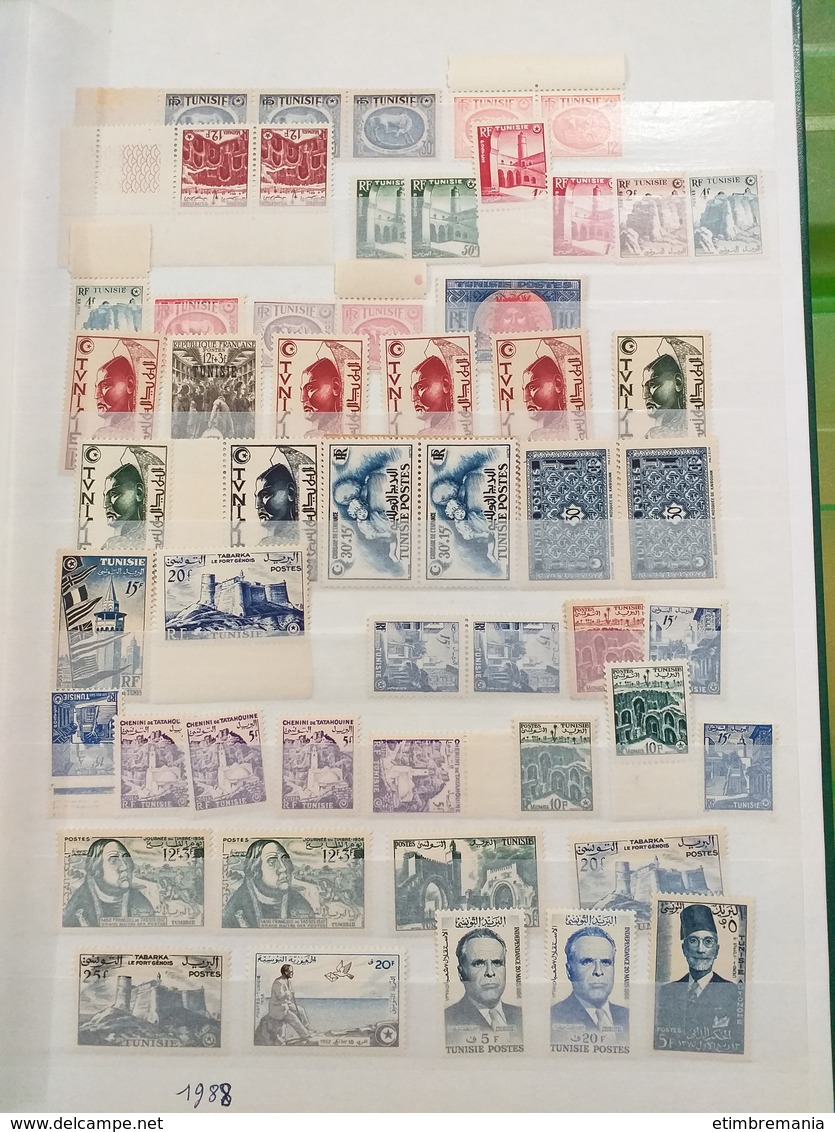 LOT N° e 186 ALGERIE MAROC et tunisie  collection en 2 classeur neufs ** ou obl