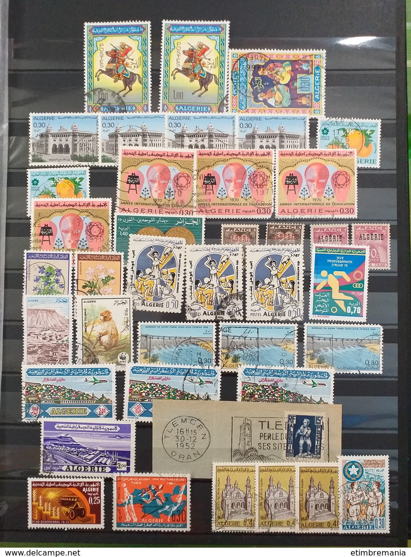 LOT N° e 186 ALGERIE MAROC et tunisie  collection en 2 classeur neufs ** ou obl