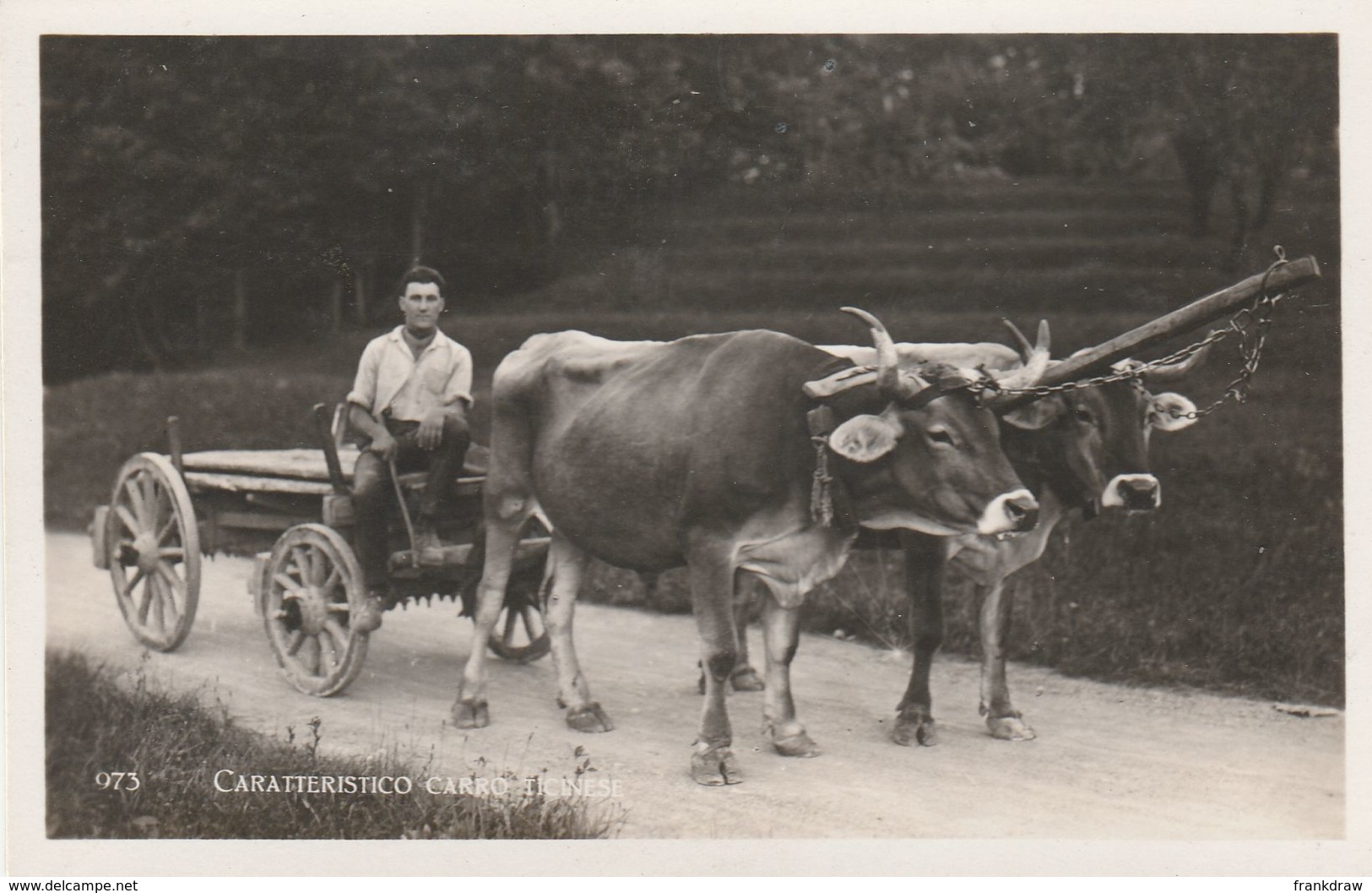 Postcard - Caratteristico Carro Ticinese - Card No.073 Unused Very Good - Non Classificati