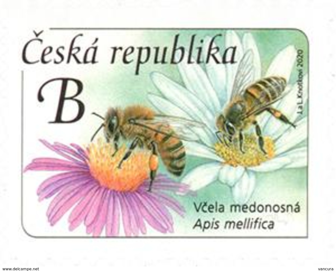 1069 Czech Republic Honey Bee 2020 - Honingbijen