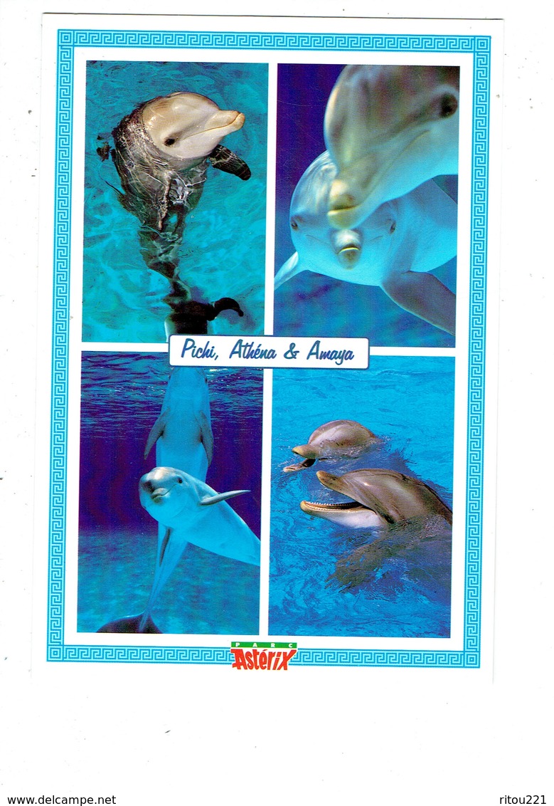 Cpm - PARC ASTERIX - Spectacle Dauphins - Dauphin  - Athéna Amaya Et Sa Fille - Pichi  - Ref 024 GOSCINNY - 1999 - Dolfijnen