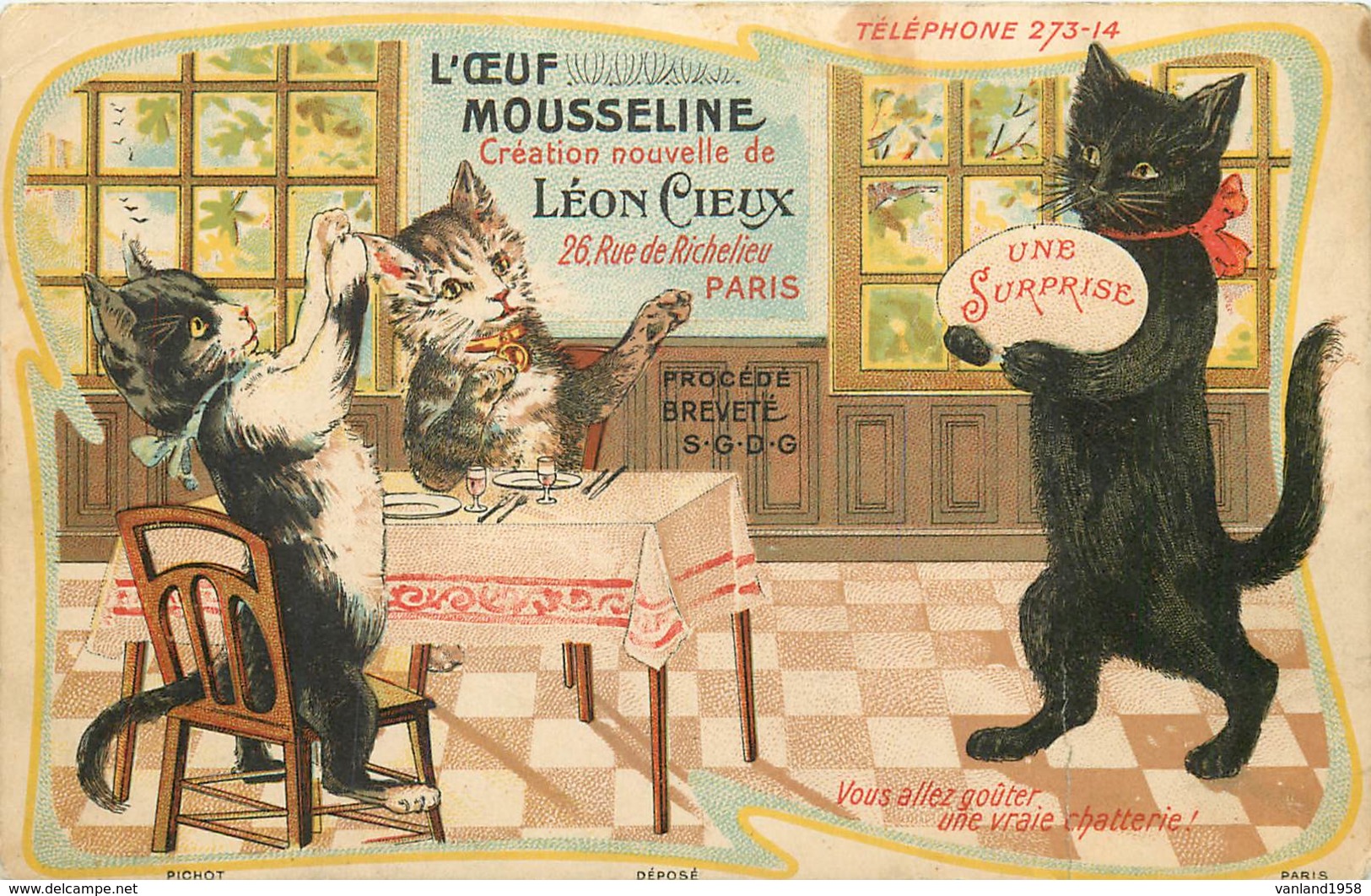 Chats Avec Pub - Cats