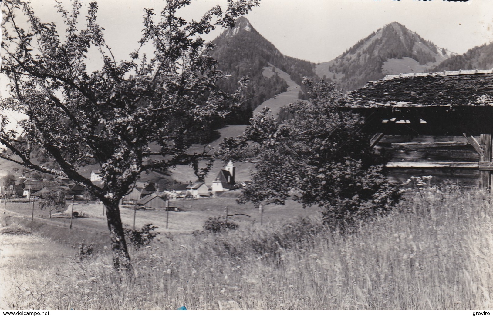 Enney, Vue Partielle, Vudalla Et Mont D'Afflon. Carte-photo - Enney