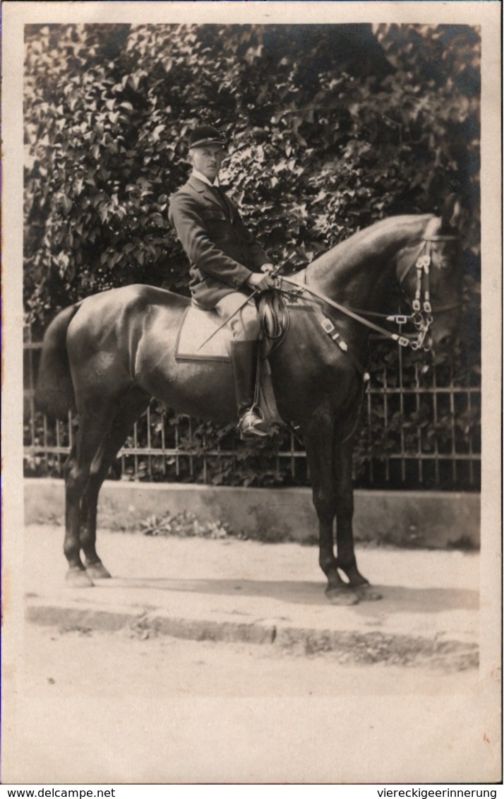 ! Old Photo Postcard, Foto, Pferd , Horse, Cheval, Echtfoto - Chevaux